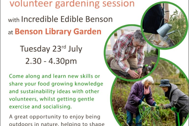 Stay Active 50+ volunteer gardening session with Incredible Edible Benson at Benson Library