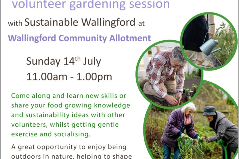 Stay Active 50+ volunteer gardening session with Sustainable Wallingford