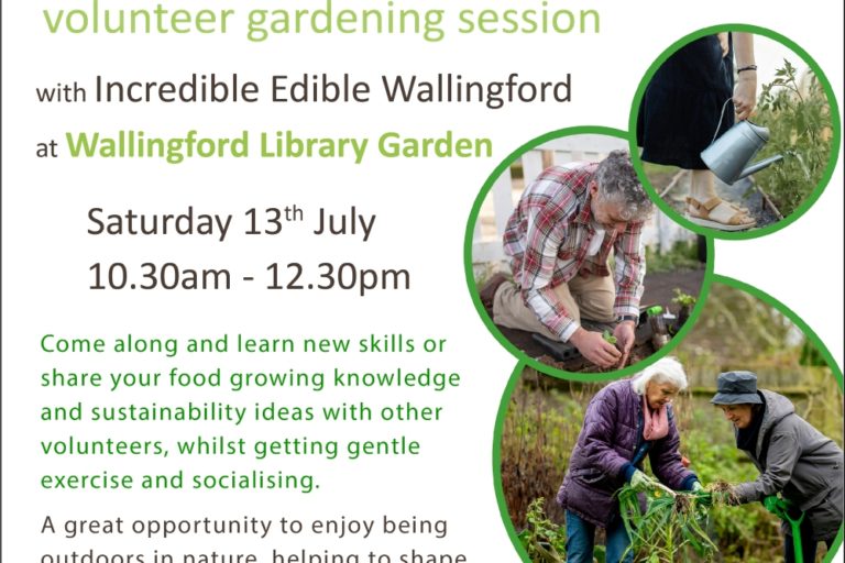 Stay Active 50+ volunteer gardening session with Incredible Edible Wallingford at Wallingford Library