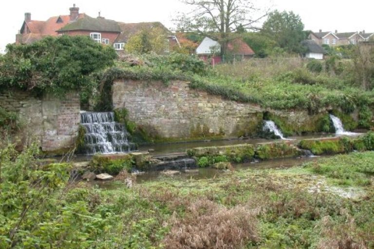 Guided walk at Ewelme Watercress Beds