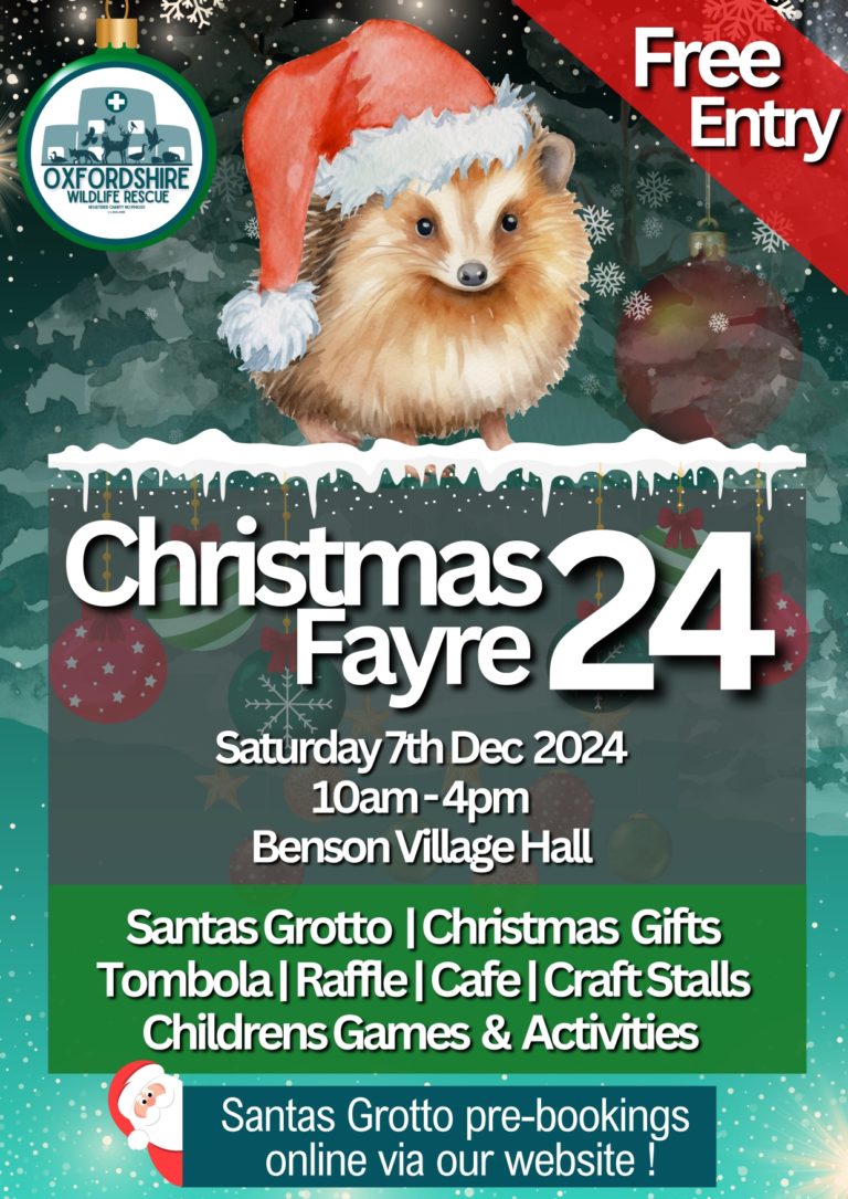 Oxfordshire Wildlife Christmas Poster